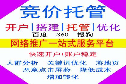 某行业SEM竞价策略的运营实践与效果